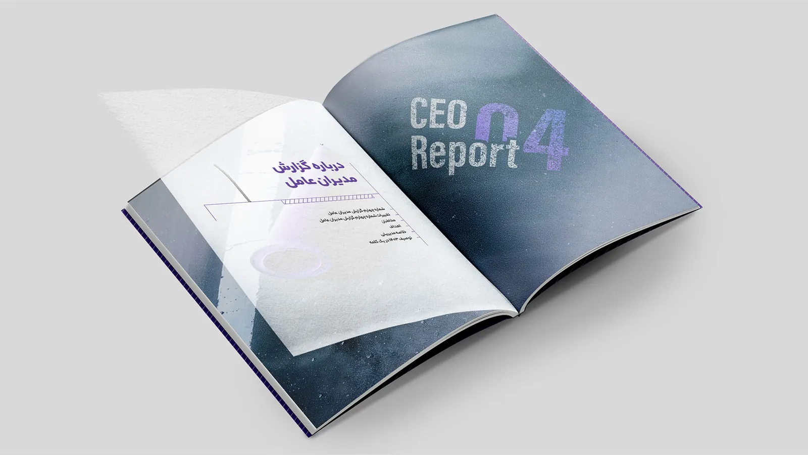Cover of the printed CEO Report 04